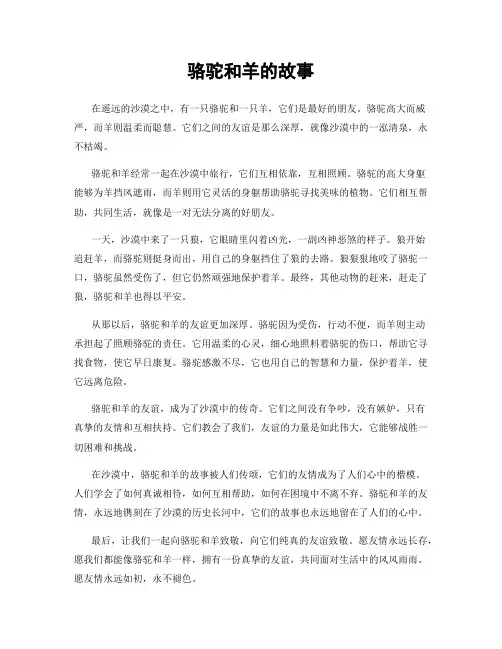 骆驼和羊的故事