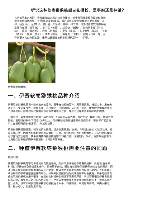 听说这种软枣猕猴桃能自花授粉，是事实还是神话？