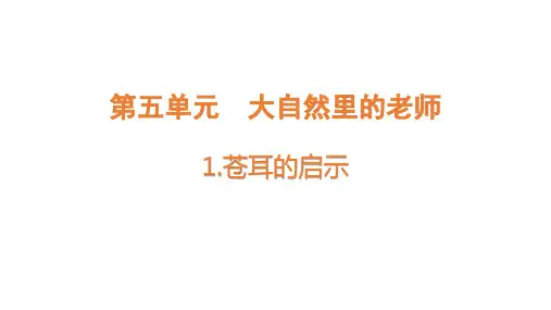 大象版科学五年级下册苍耳的启示课件