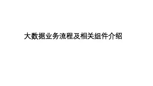 大数据业务流程
