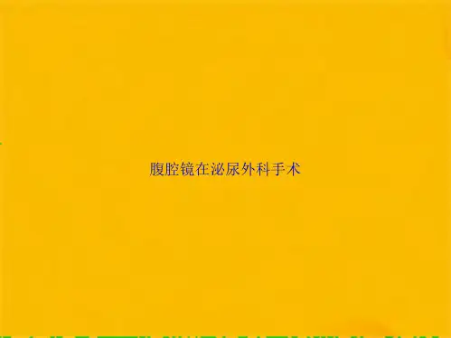 腹腔镜在泌尿外科手术(共28张PPT)