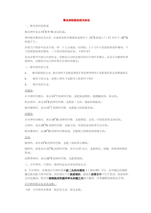 臂丛神经的康复