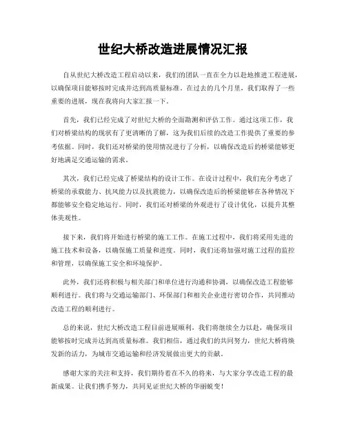 世纪大桥改造进展情况汇报