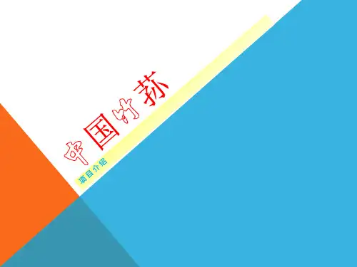 中国竹荪(王靖)