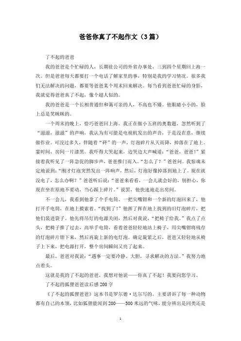 爸爸你真了不起作文(3篇)