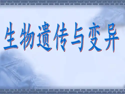 生物的遗传和变异 PPT课件