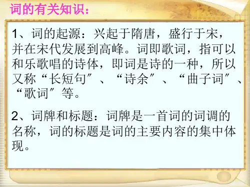 柳永词二首《望海潮》《雨霖铃》ppt课件2