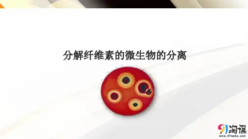 课件12：2.3 分解纤维素的微生物的分离