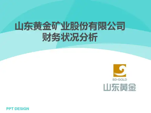 山东黄金财务分析经典版