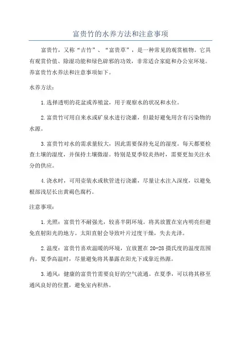 富贵竹的水养方法和注意事项