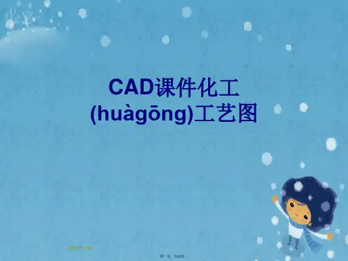 CAD课件化工工艺图