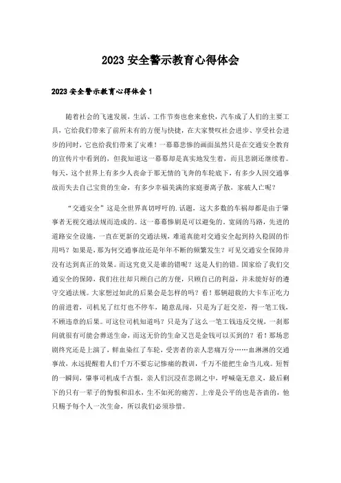 2023安全警示教育心得体会