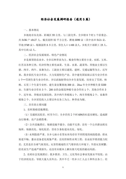 经济社会发展调研报告范文精选