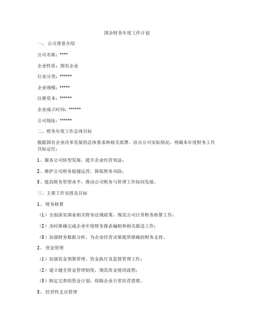 国企财务年度工作计划