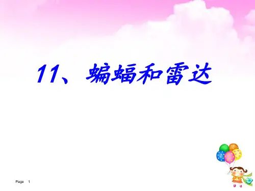 11.蝙蝠和雷达(完美版)(1)PPT课件