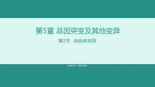 染色体变异ppt课件