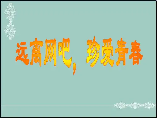 小学主题班会课件-远离网吧,珍爱青春 通用版 (共12张PPT) PPT