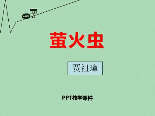 语文八年级上册第11课《萤火虫》精品课件