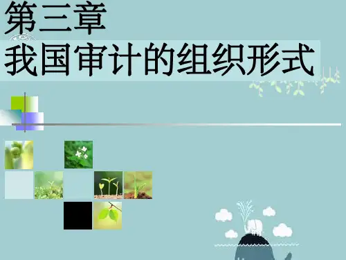 第三章我国审计的组织形式