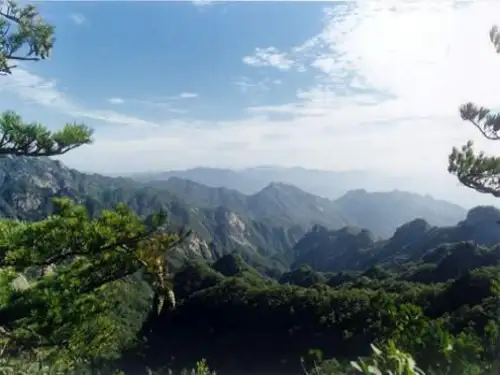 地理八上《秦岭淮河线》精品课件