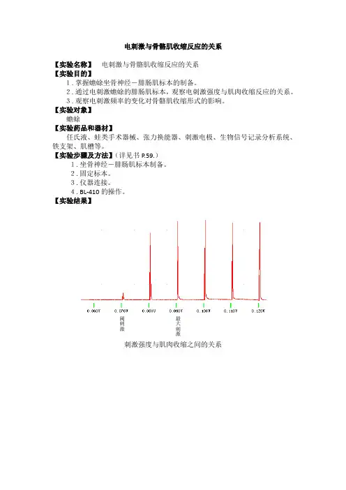 医学机能学实验-电刺激与骨骼肌收缩反应的关系实验报告