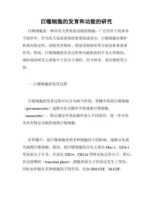 巨噬细胞的发育和功能的研究