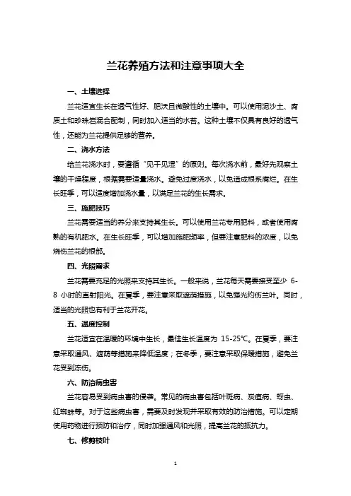 兰花养殖方法和注意事项大全