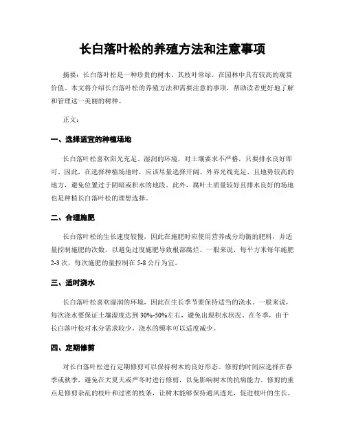 长白落叶松的养殖方法和注意事项