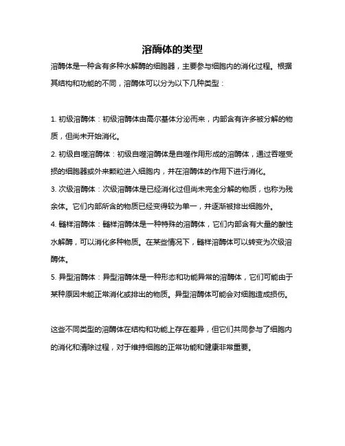 溶酶体的类型