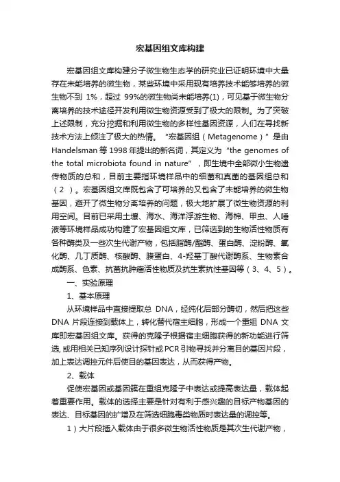 宏基因组文库构建