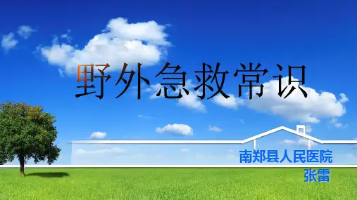 野外急救常识PPT参考幻灯片