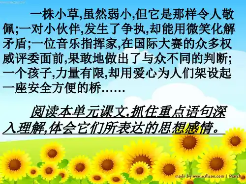17语文S版四年级上册《小草之歌》(1)精品PPT课件