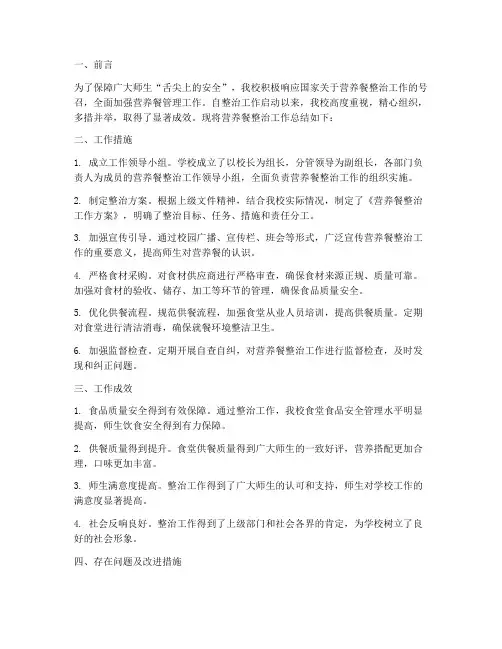 营养餐整治工作总结报告
