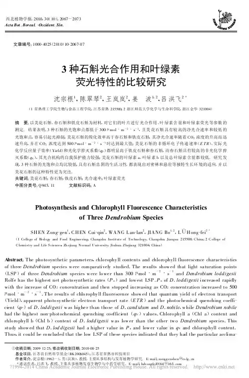 3种石斛光合作用和叶绿素荧光特性的比较研究_沈宗根