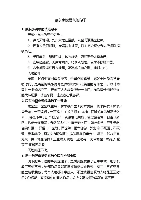 辰东小说霸气的句子
