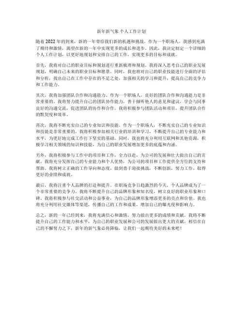 新年新气象 个人工作计划