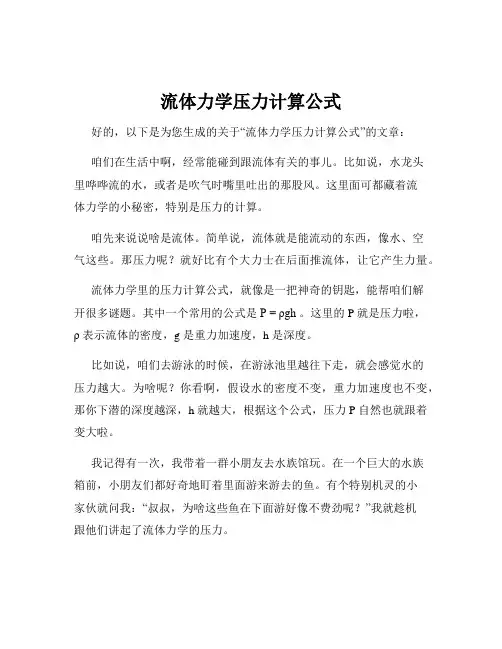 流体力学压力计算公式