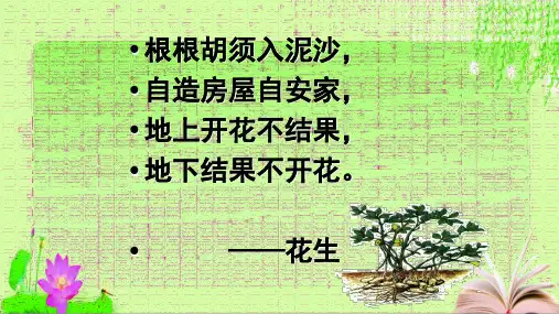 部编版全国优质课一等奖小学语文五年级上册《落花生》获奖课件