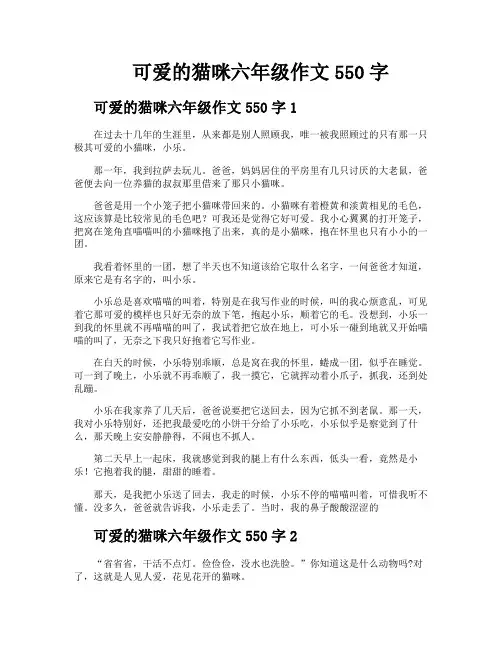可爱的猫咪六年级作文550字