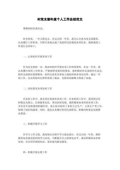 村党支部年度个人工作总结范文