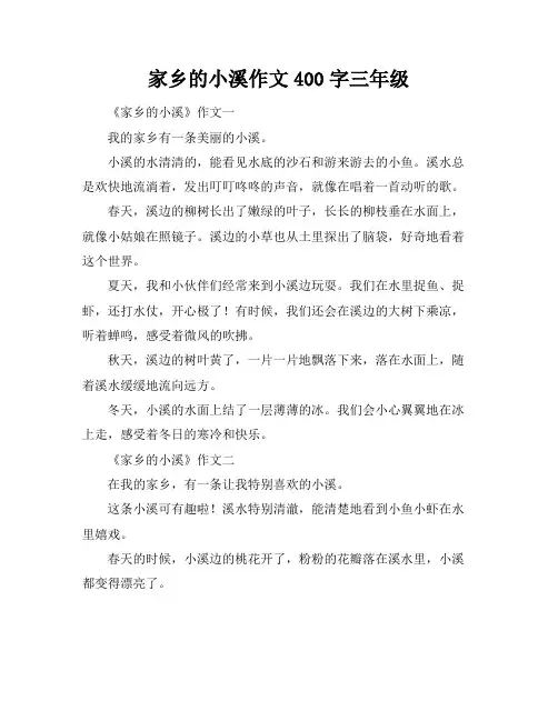 家乡的小溪作文400字三年级