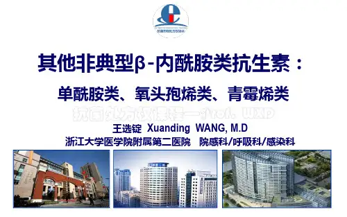 非典型β-内酰胺类-单环类、氧头孢烯、青霉烯类.PDF
