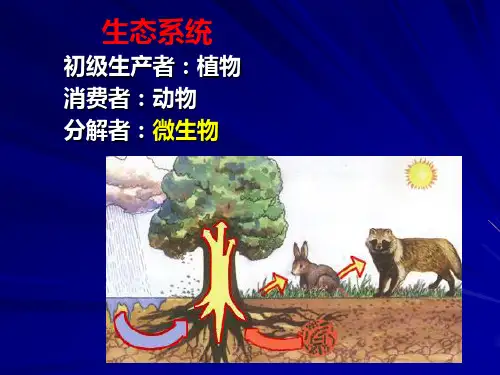 普通微生物学普通微生物学26