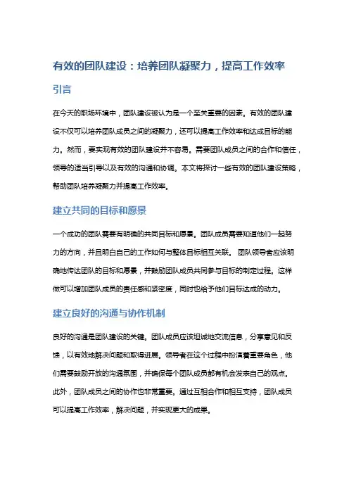 有效的团队建设：培养团队凝聚力,提高工作效率