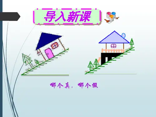 3.4 重力 二力合成-沪教版(上海)八年级物理上册课件