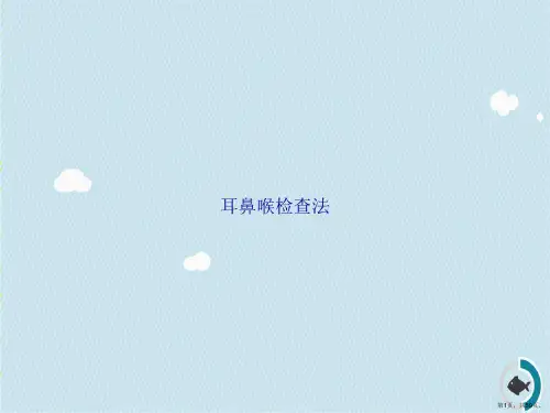 耳鼻喉检查法讲课文档