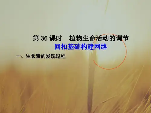 最新-2018高三生物一轮复习 第八单元第36课时植物生命活动的调节课件  精品 