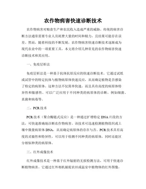 农作物病害快速诊断技术