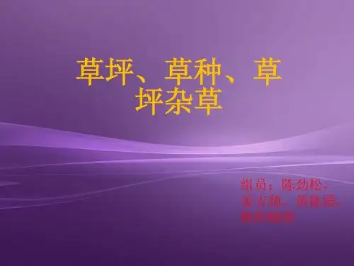 草坪