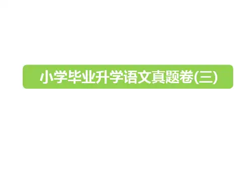 六年级下册语文课件-2019小升初真题卷(三) 全国通用  (共25张PPT)(含答案)